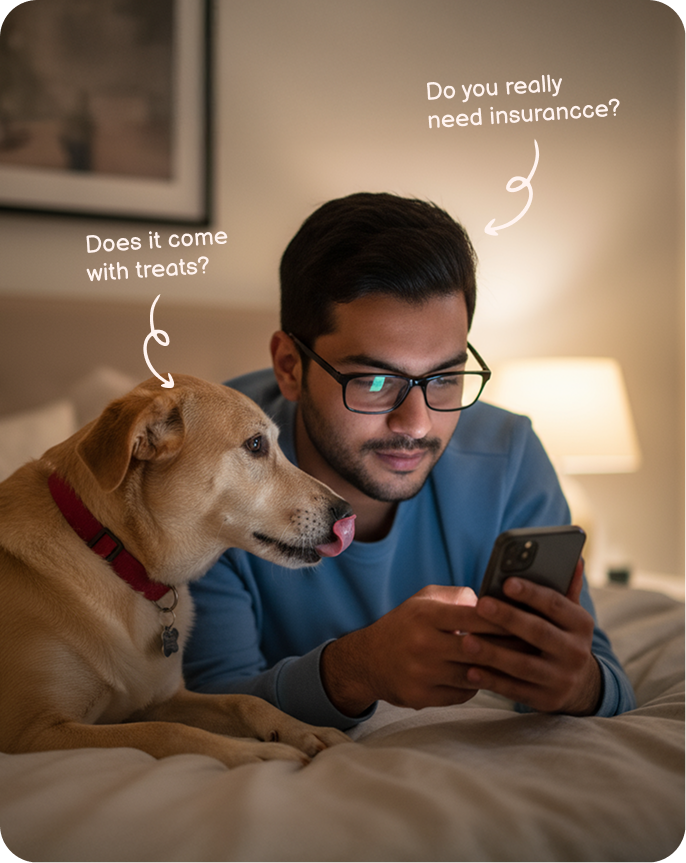 About pet insurance