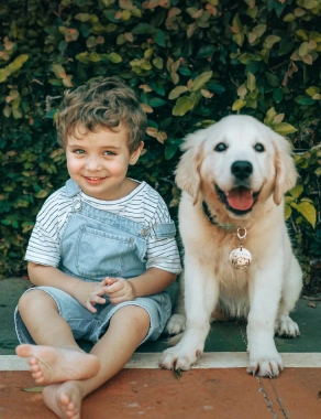 Pet friend 2