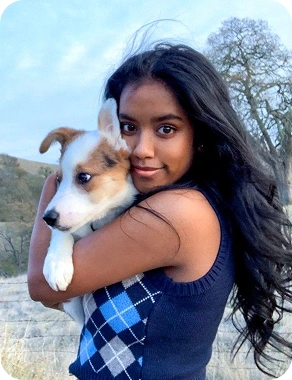 Pet friend 4