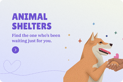 pet world