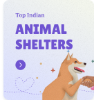 pet world