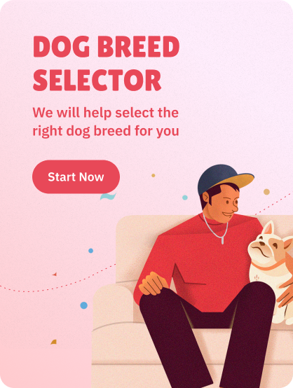 breed-selector-tool