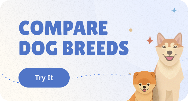 puppies