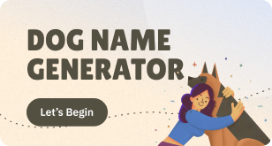dog compare