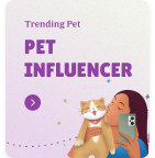 pet world