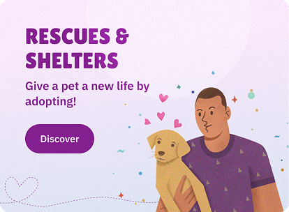 puppies