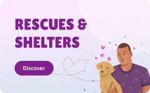 puppies